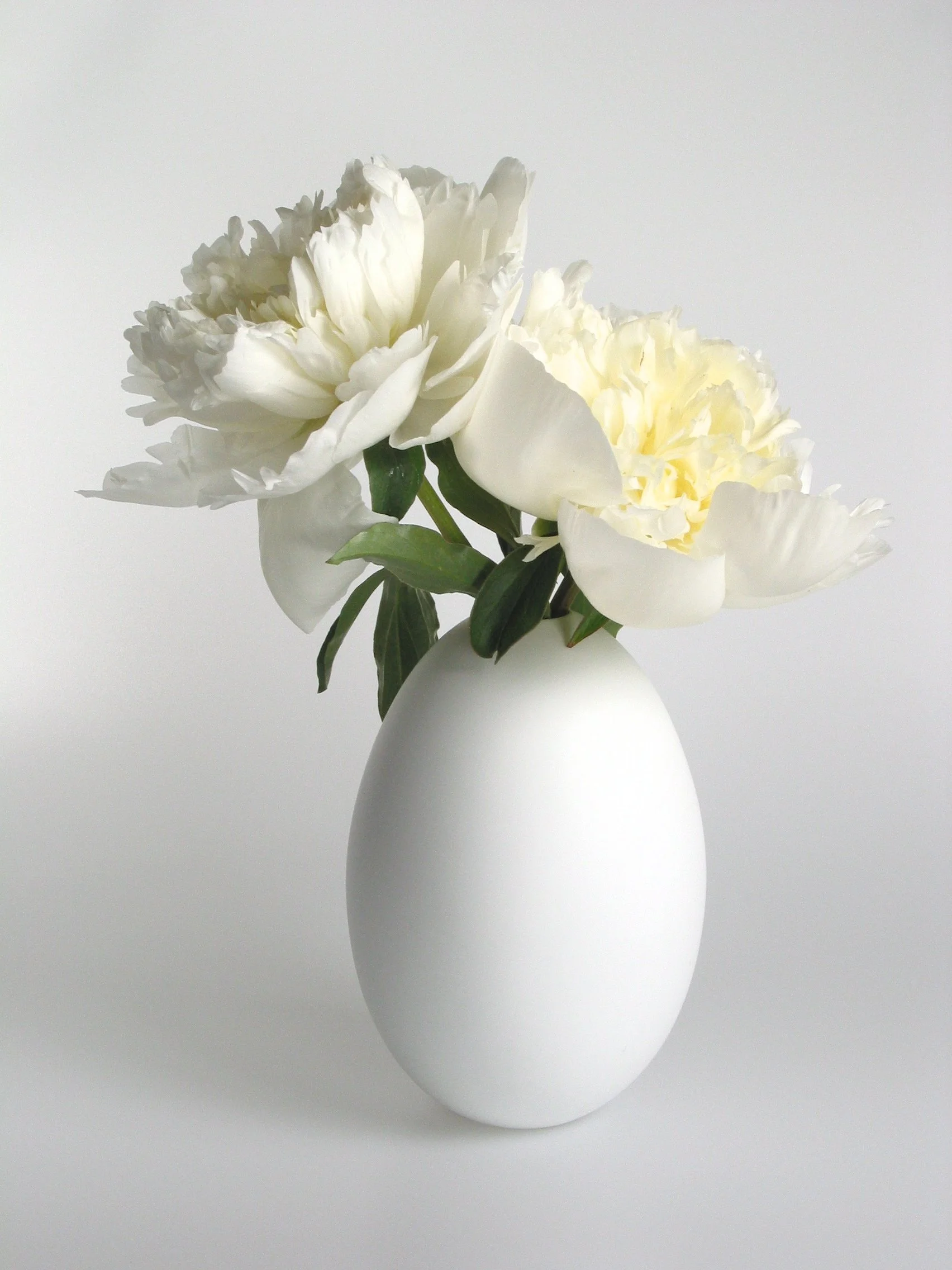 希少☆Ted Muehling キャンドルスティック ☆テッドミューリング Nymphenburg Porcelain Rococo Candlesticks — Ted Muehling